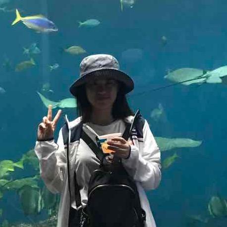 上食儿飞飞