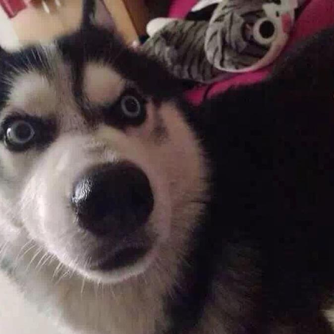 Why