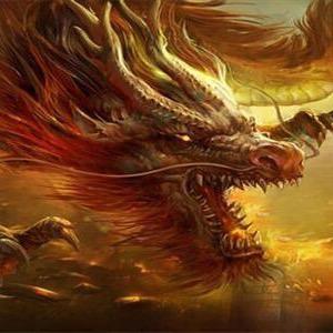 晓表哥