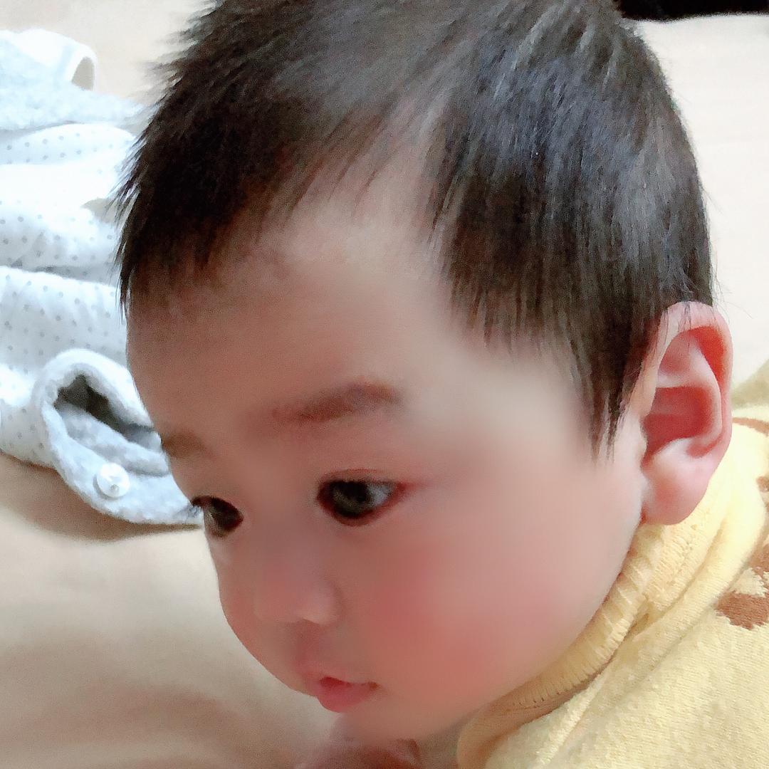 小山竹