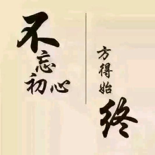 孤独的王者