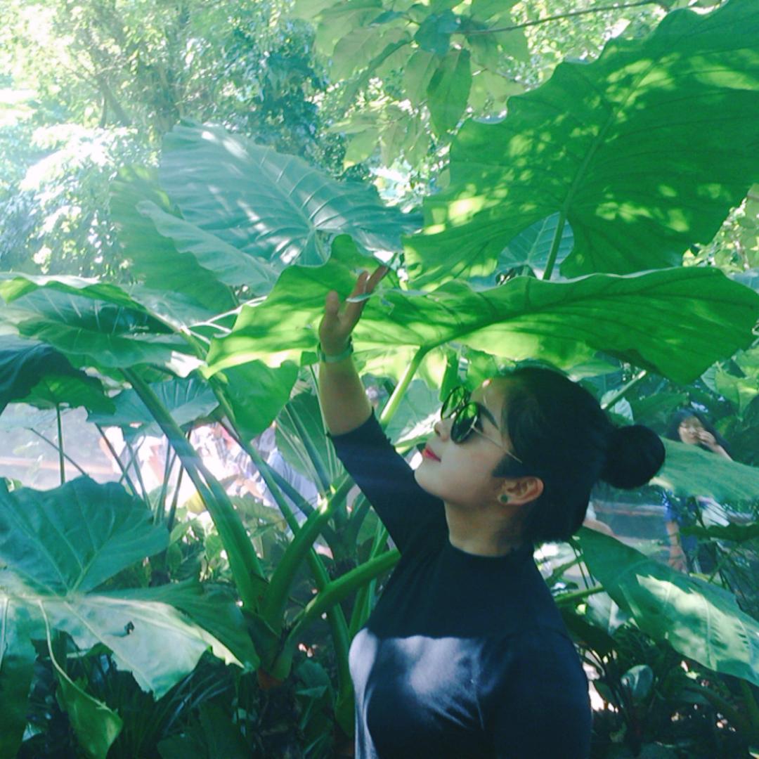 年满的一年四季