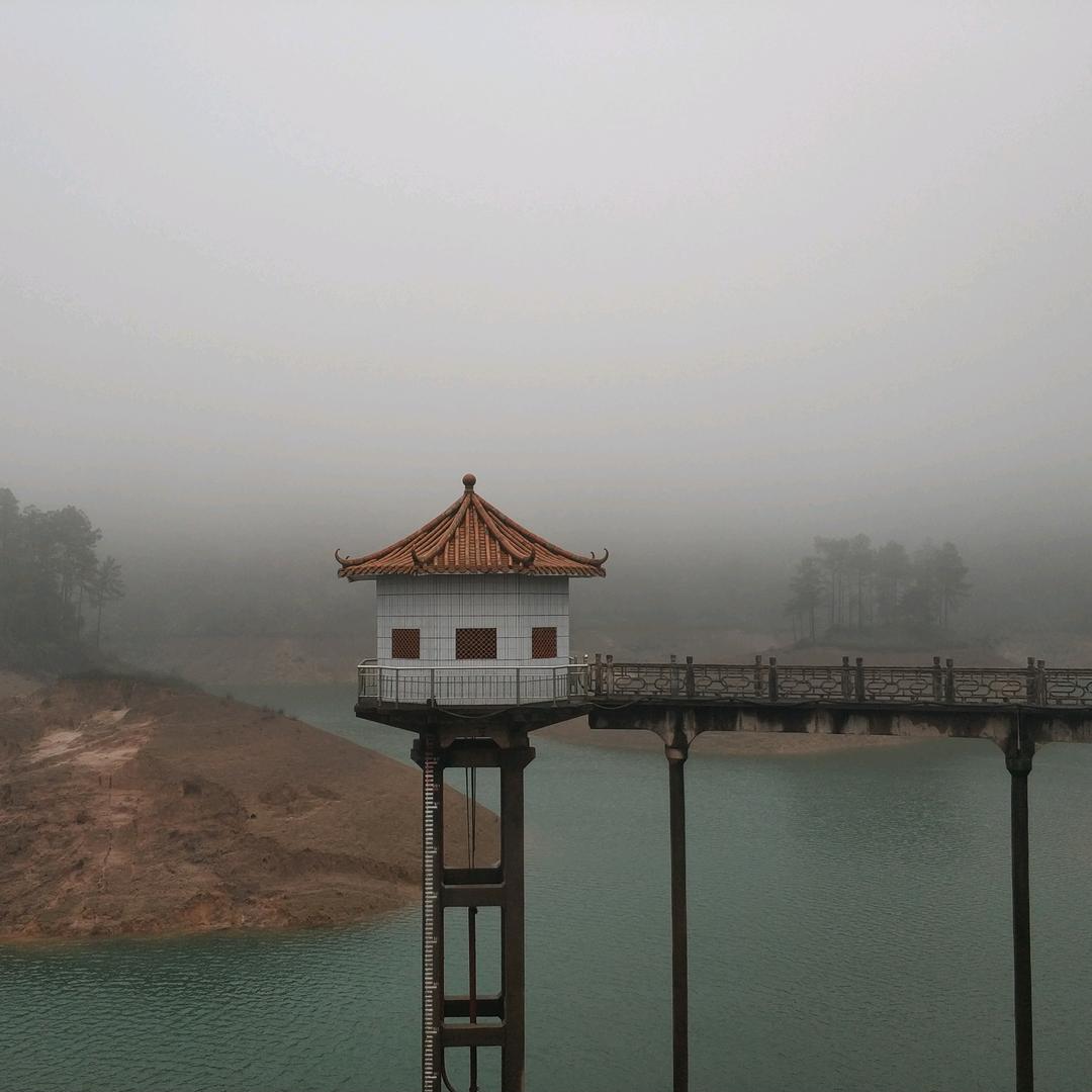 诗洋