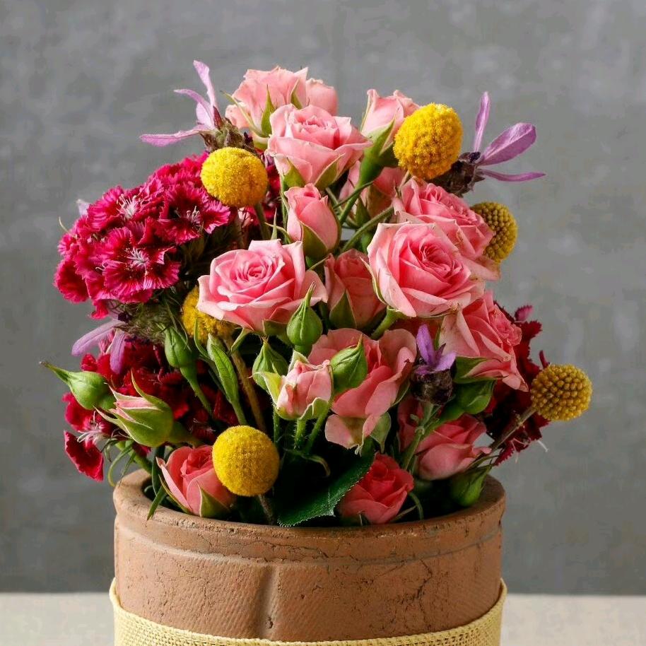 春暖花开૮₍♡♡₎აʚ💞ི་ྀɞ