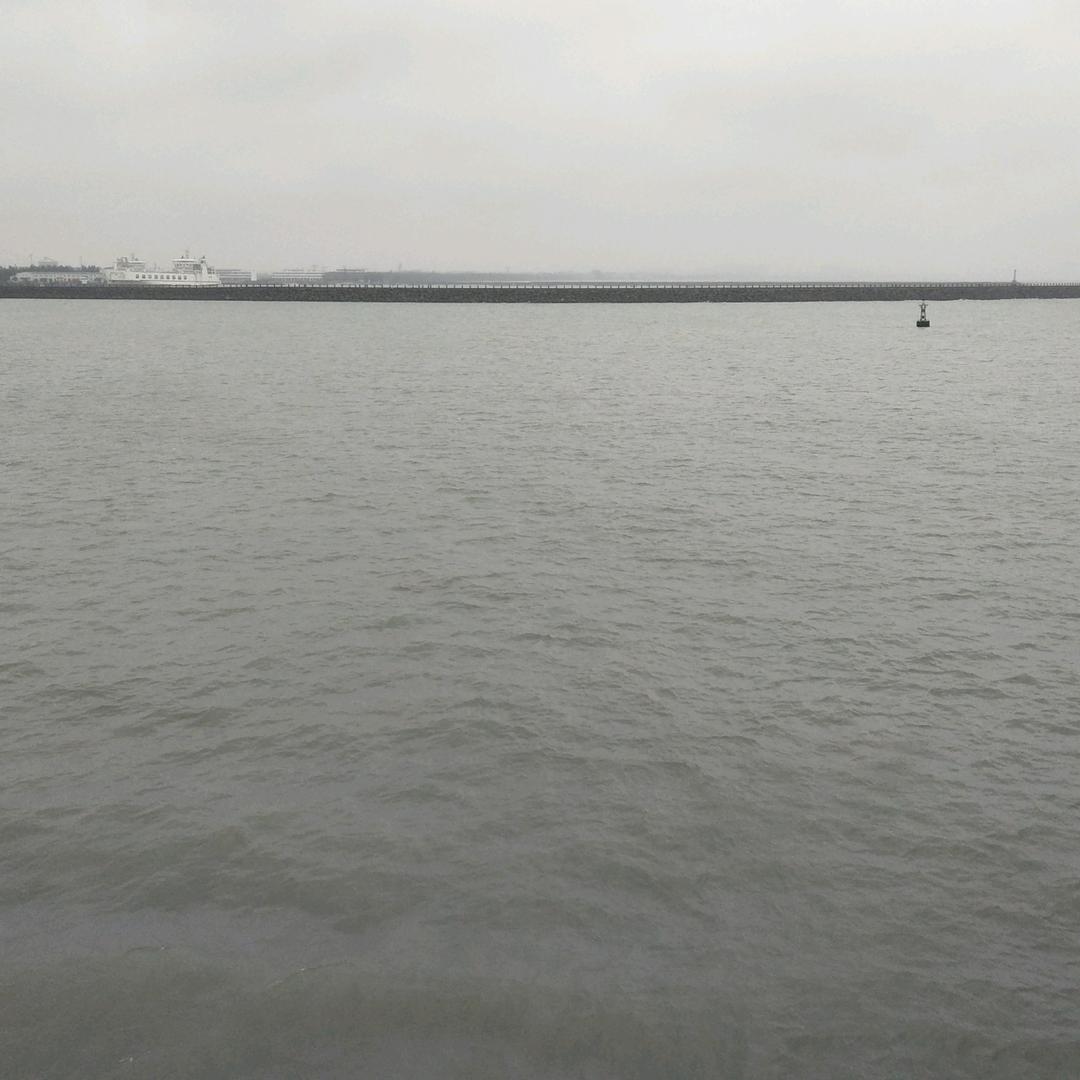 小月团购