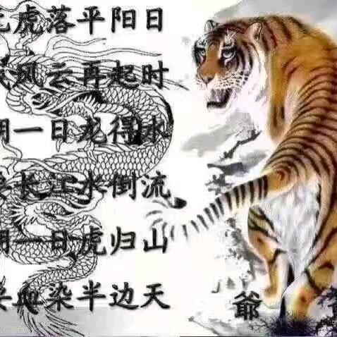嘉晨
