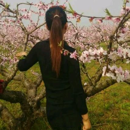 念妻金龟子(巴驿步行街杨氏棉絮)