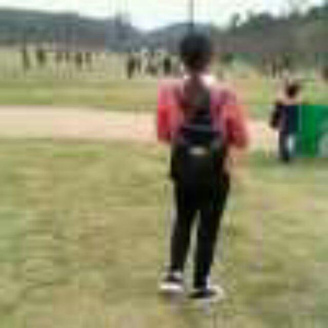 挑战者！北极熊