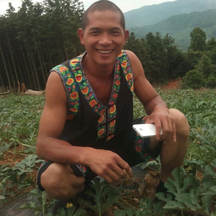 羊粪西瓜🍉——周发根