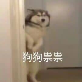 Yan9