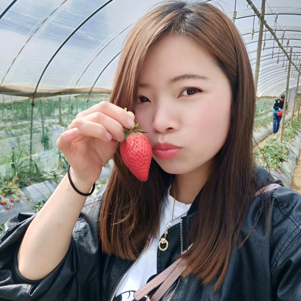 青柠檬