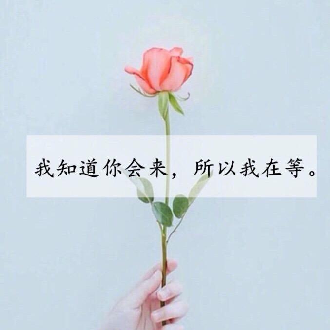 怡然
