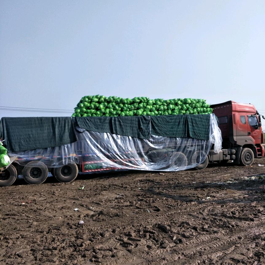 潘家湾蔬菜刘建宝