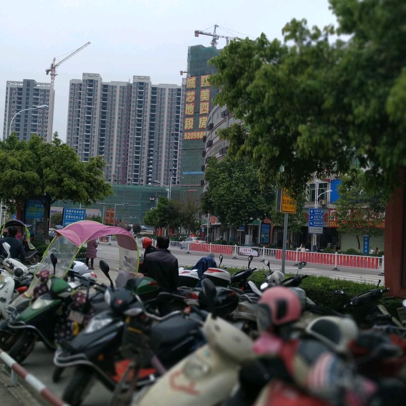 忠将