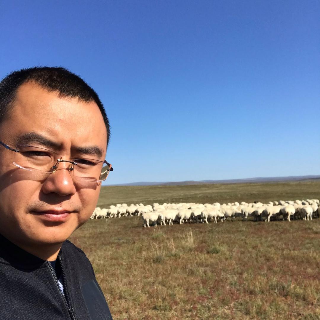 常宝 山西祥洋天鹭湖肉业 （羊肉）
