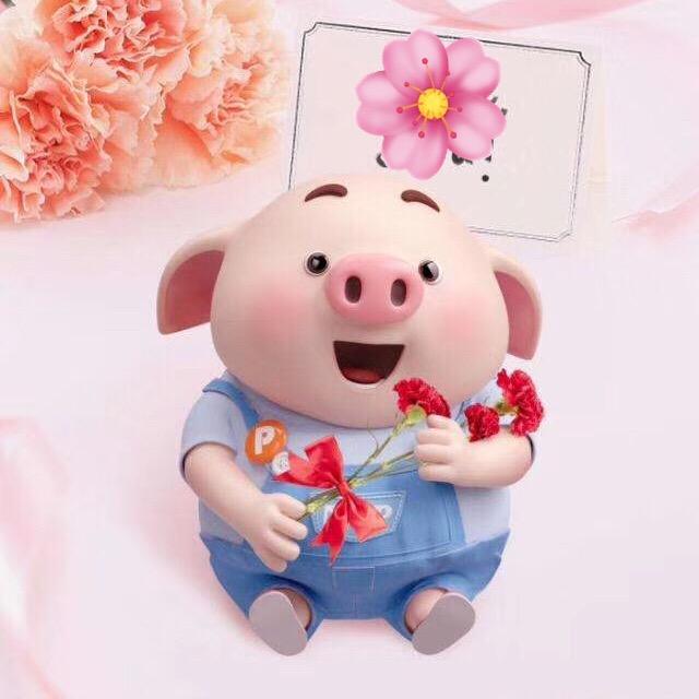 皮皮