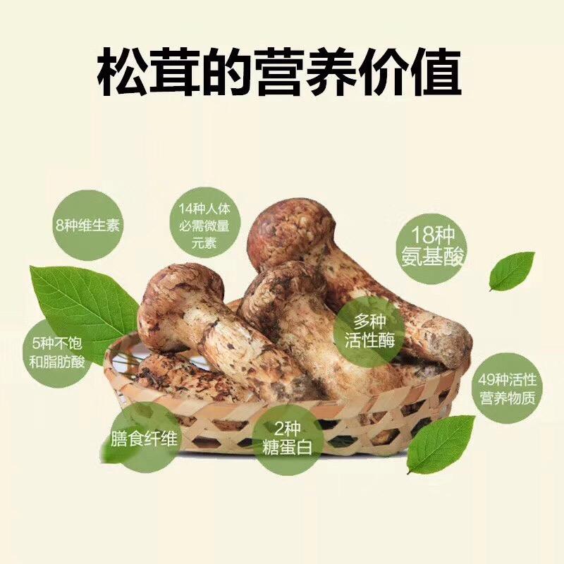 庞【松茸批发】