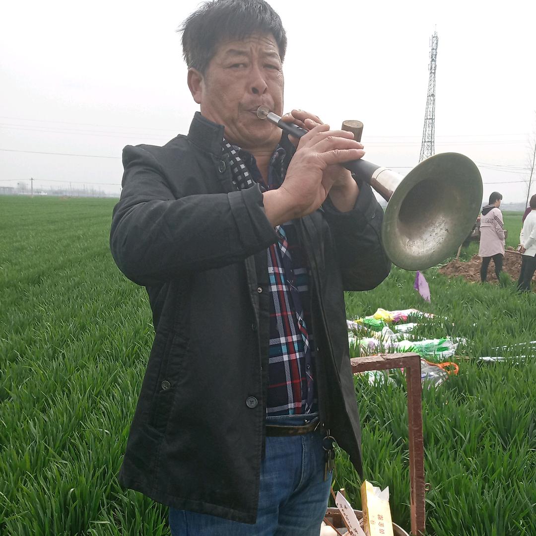 栾天中唢呐演艺圈！我试播不定点