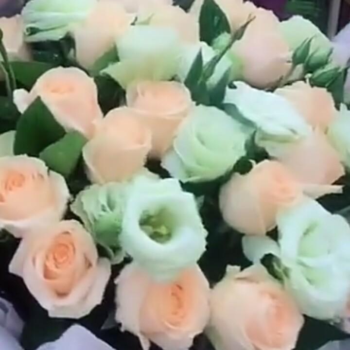 心儿7022