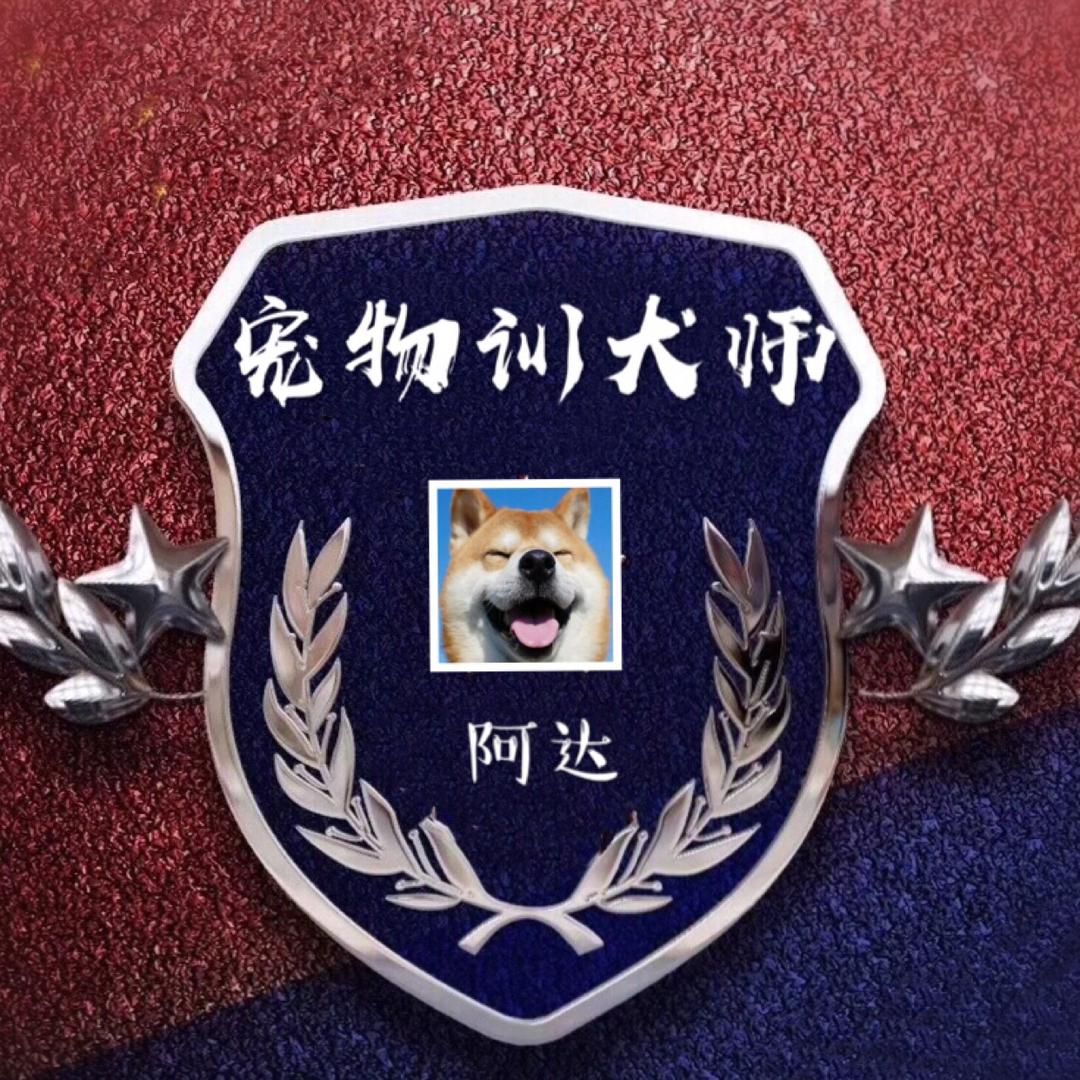 福州.宠物训犬师阿达