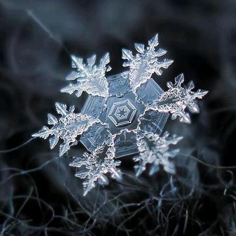 雪