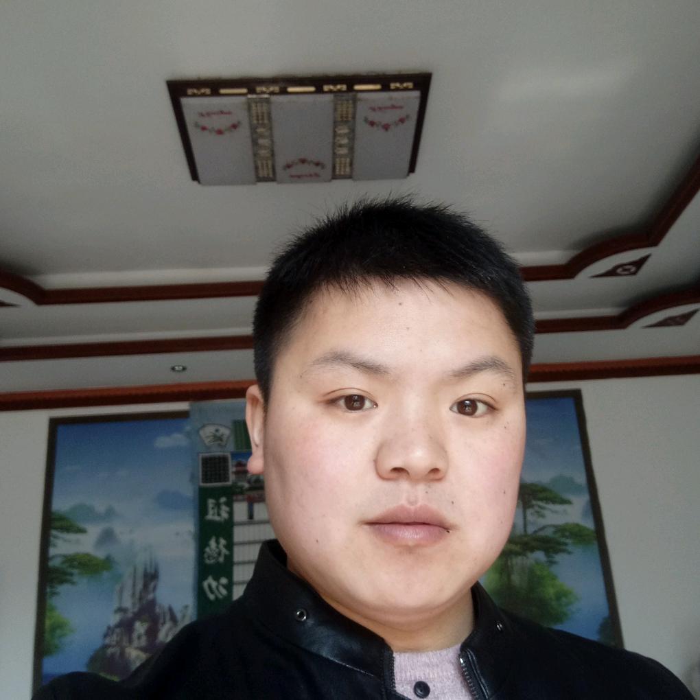 阳光总在风雨后