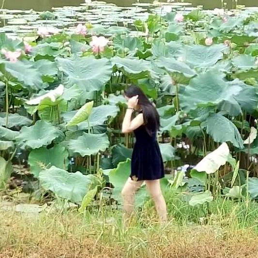 西双版纳 又一庄餐厅