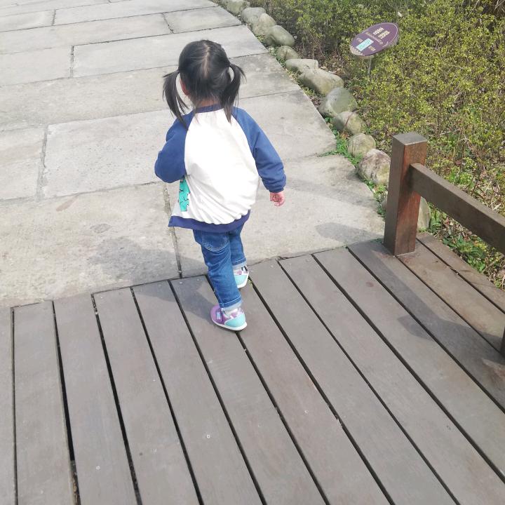 陆小梵梵梵梵