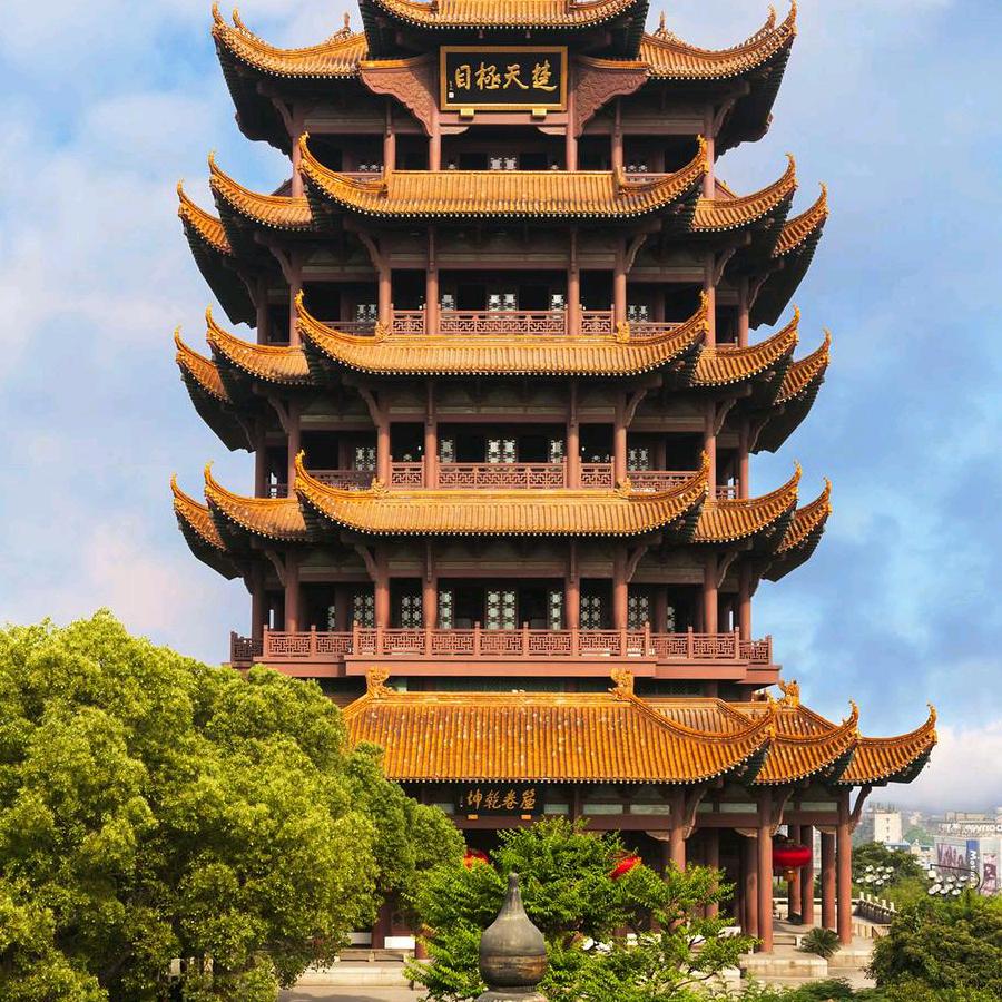 天鸽