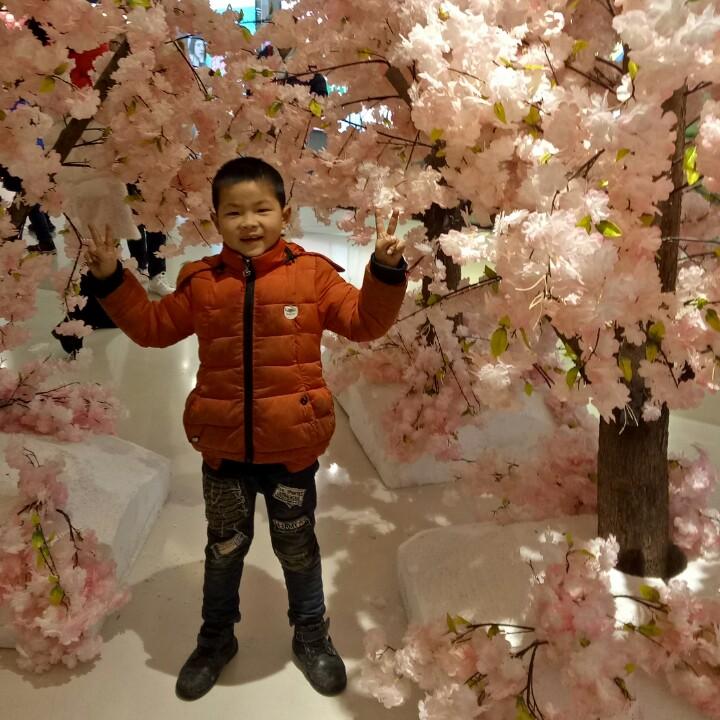 玲玲
