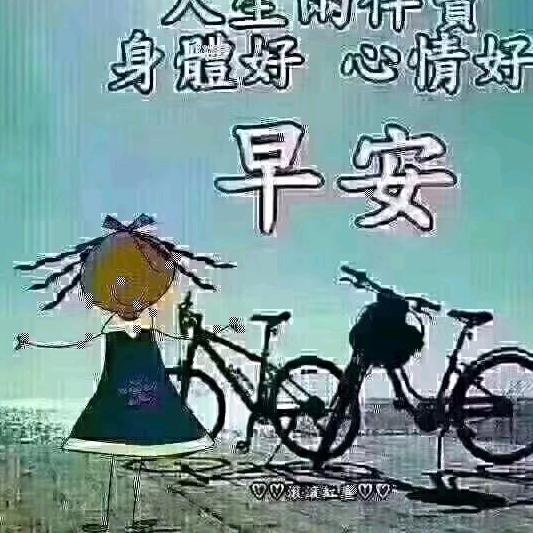 芳姐