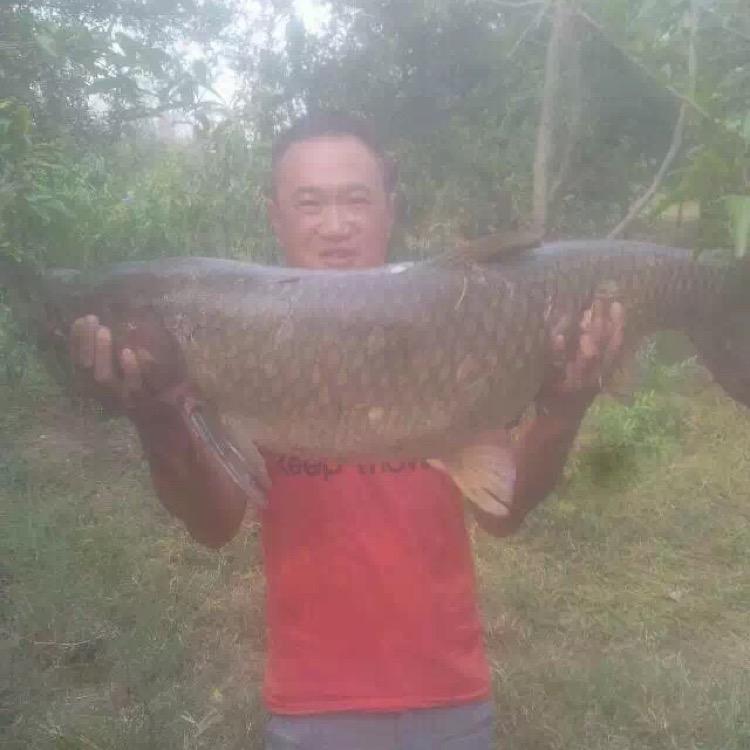 阜阳市听渔轩钓具