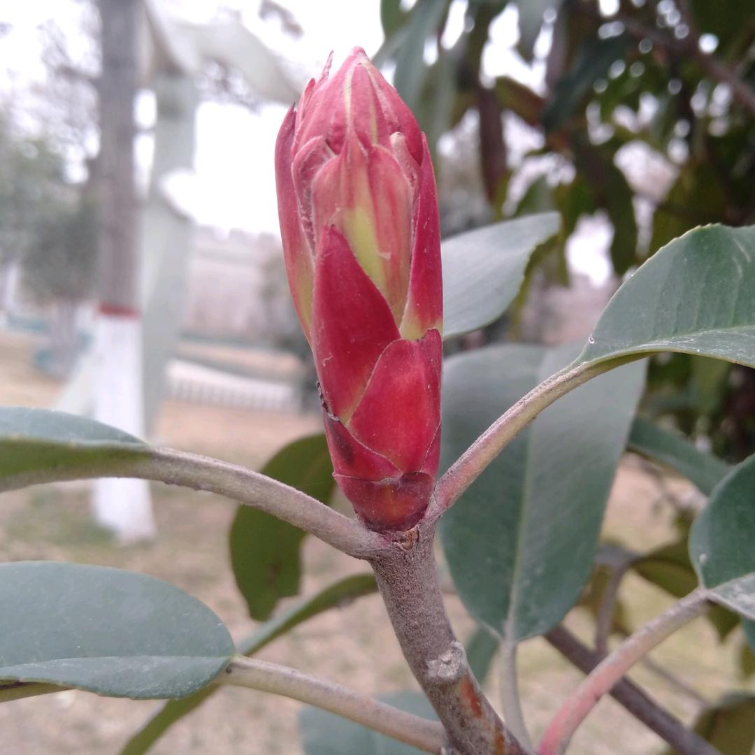 你欠我一个幸福