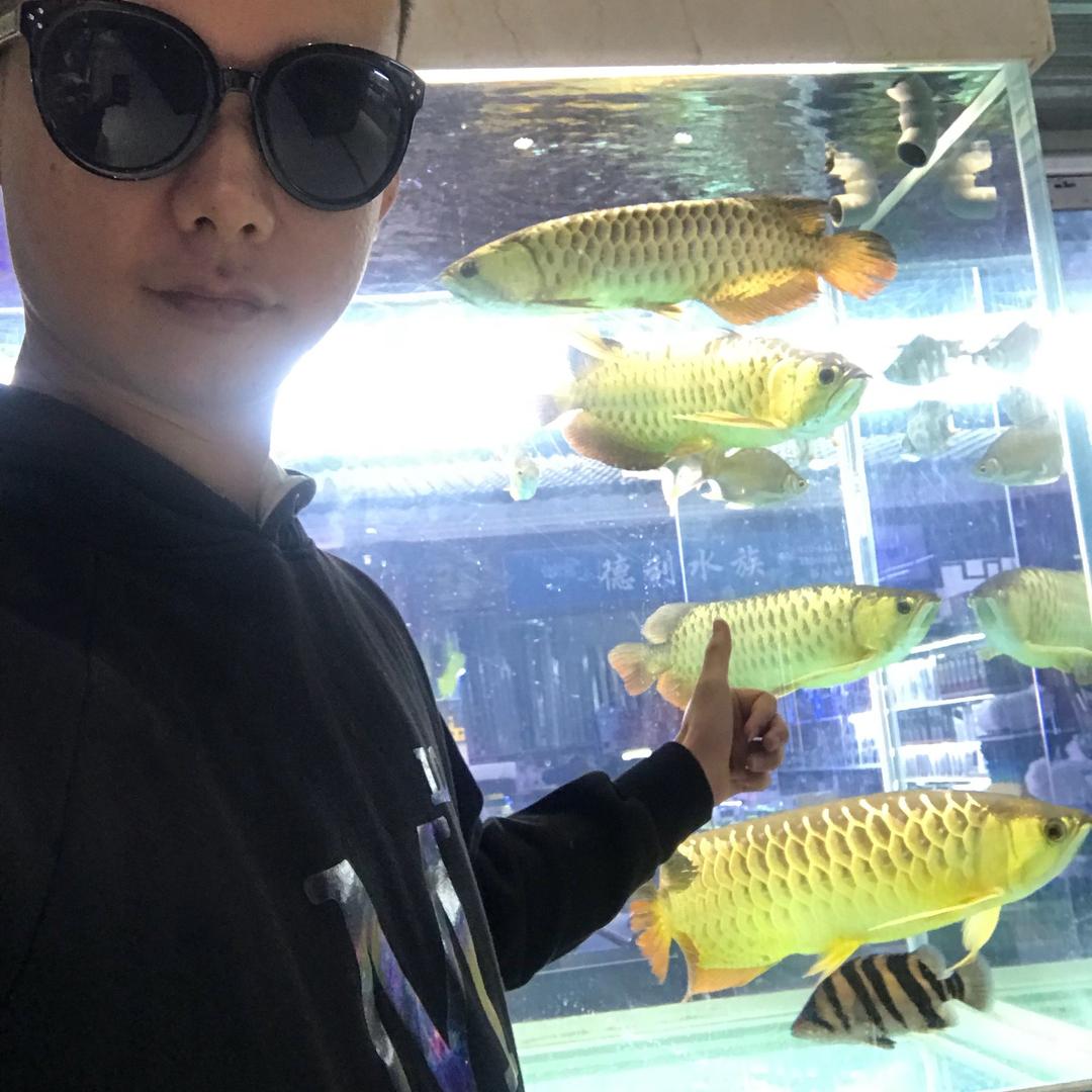 瑞珑轩龙鱼贸易