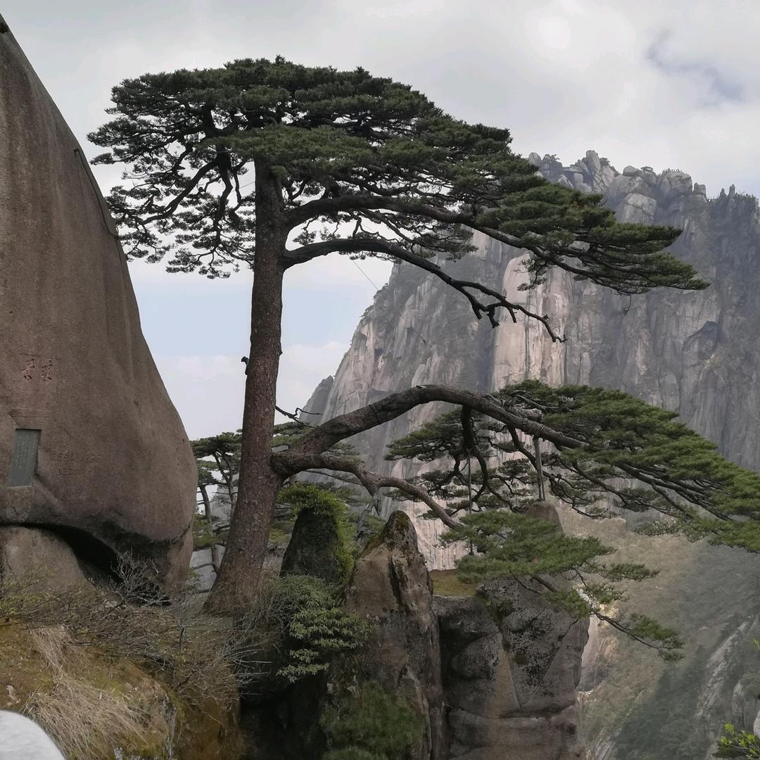 外面的世界真好