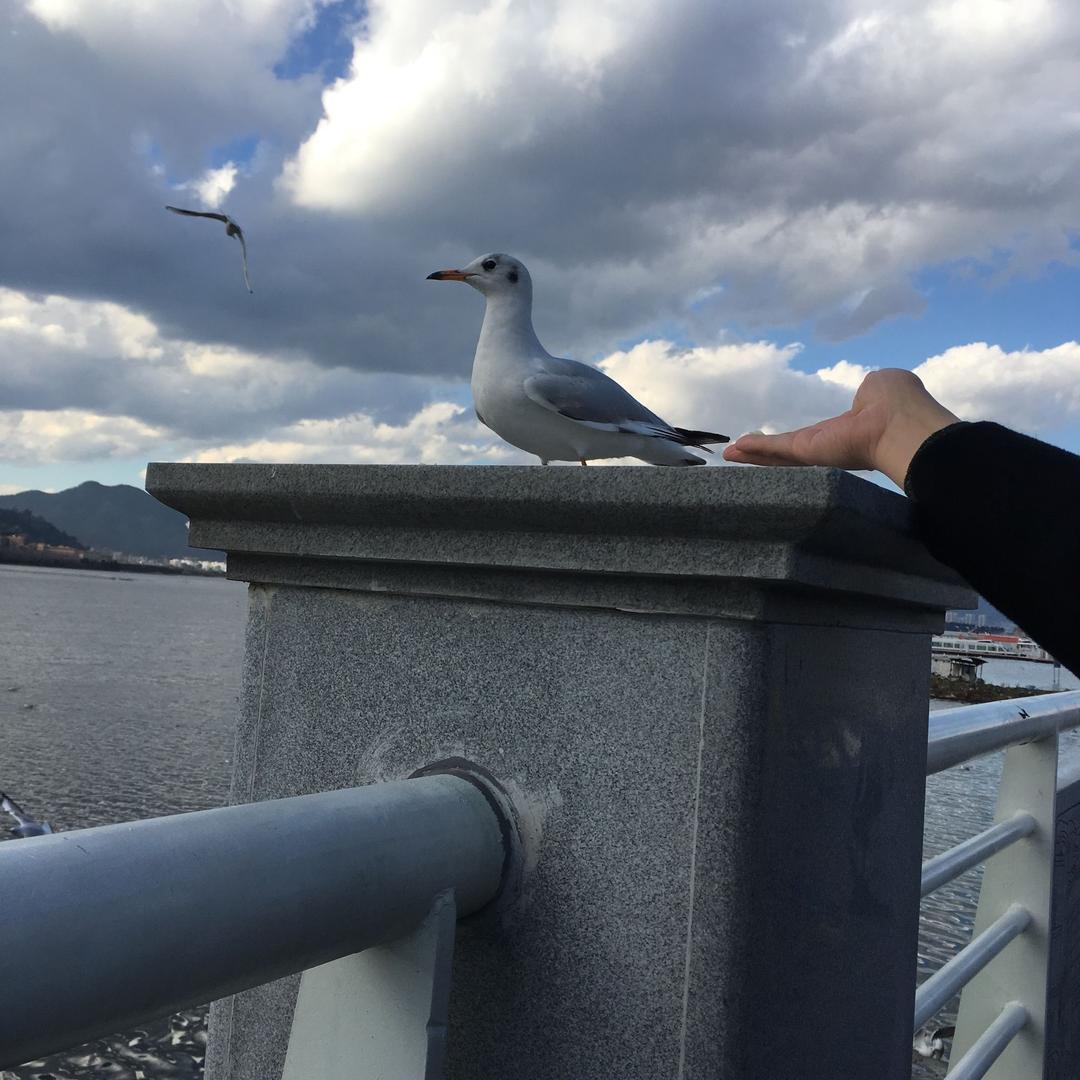 四川宜宾  长宁县