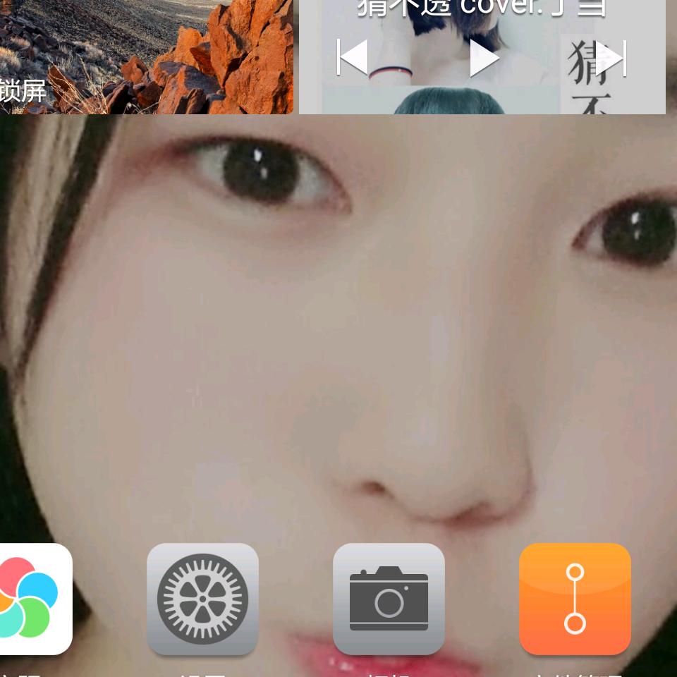一棵小树苗。