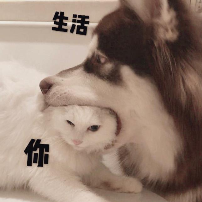 滚滚不是广坤@抖音