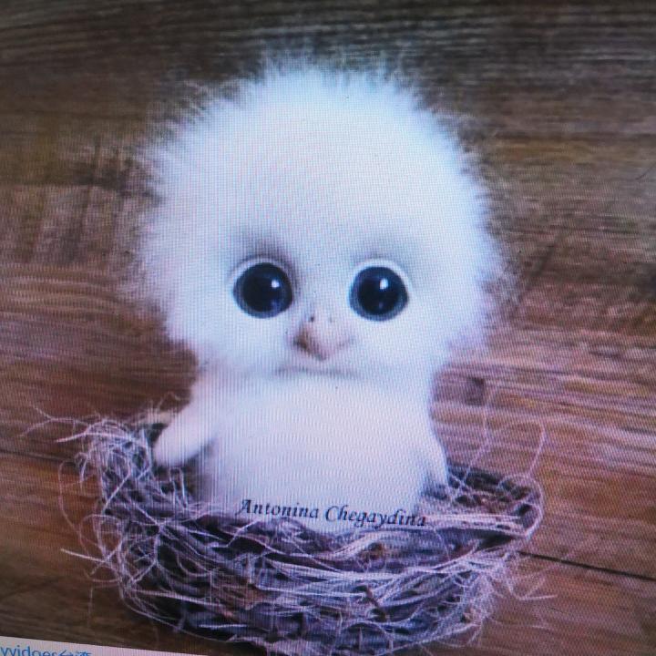 A安防监控电脑周边