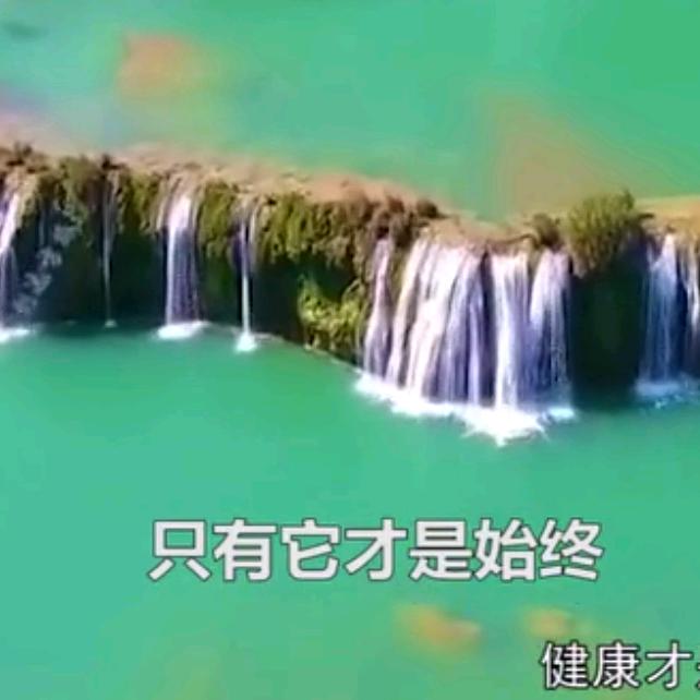 五哥不放羊只刮大白