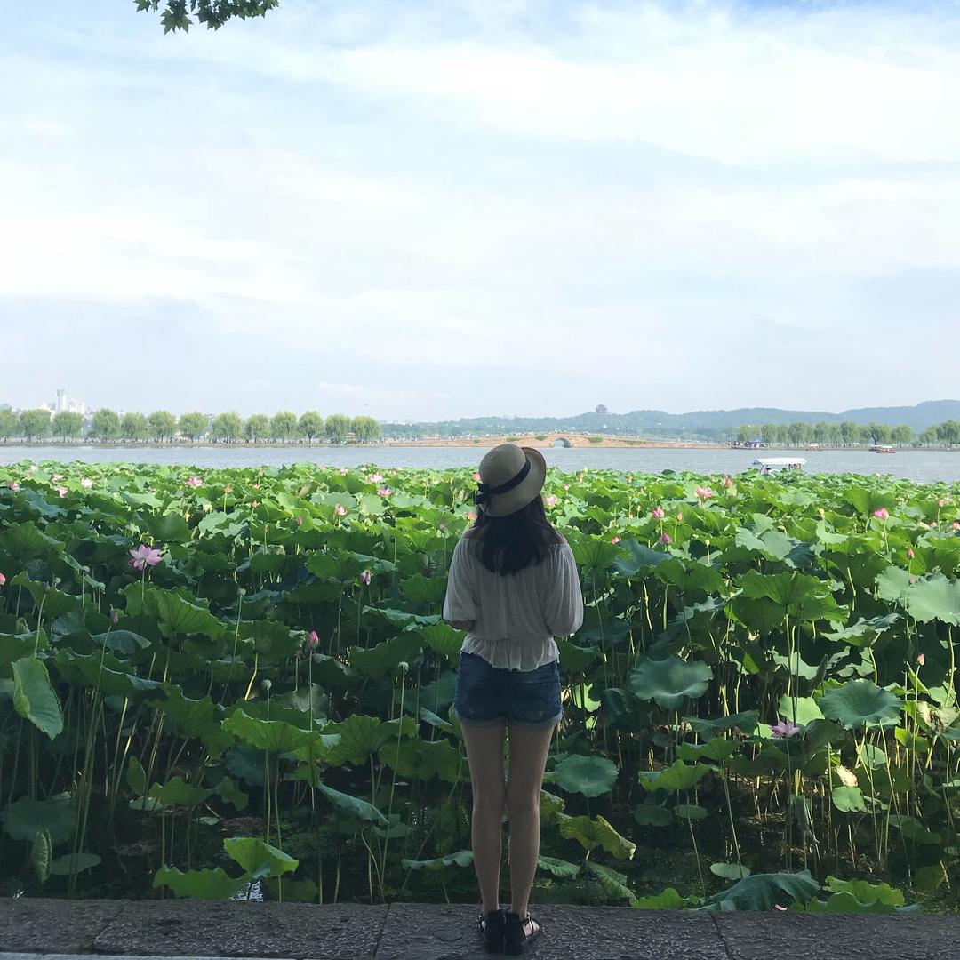 在跑小鲸