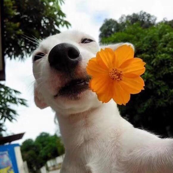 柒拾号·火锅冒菜餐饮🐝