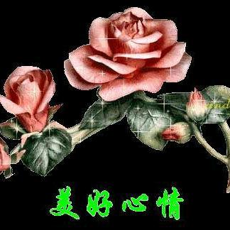 用户6815329716544洪开心