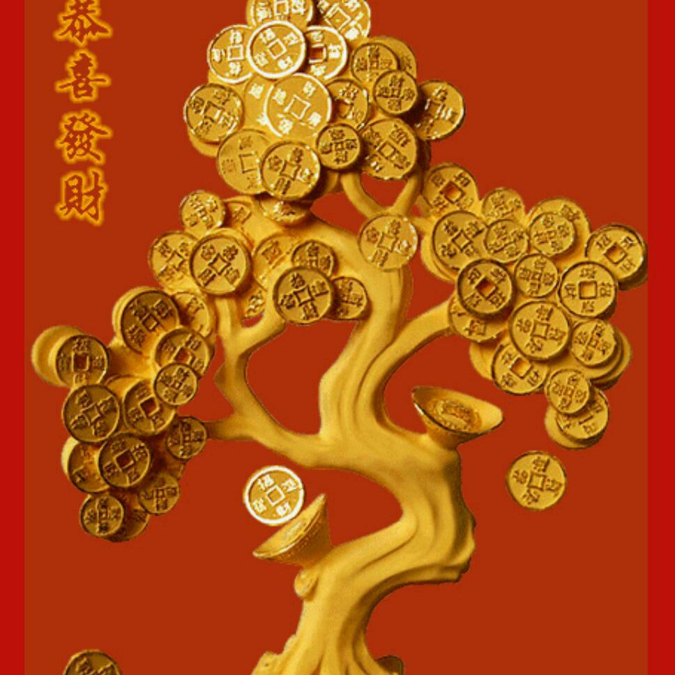 用户9894297944681