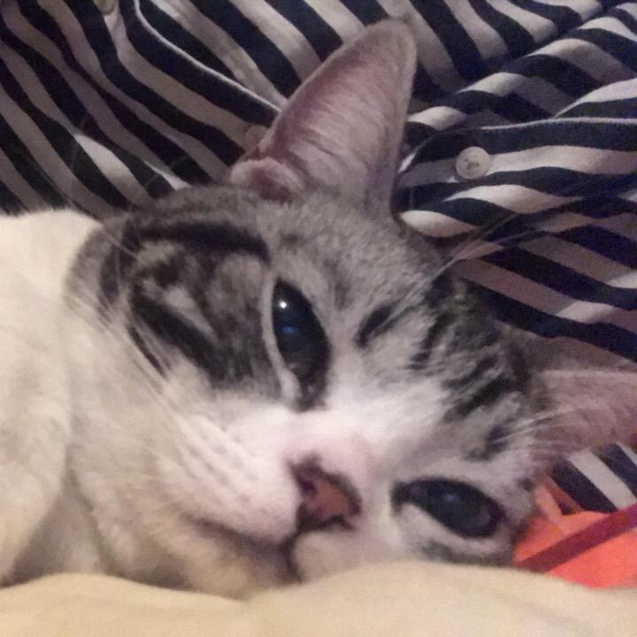 太过