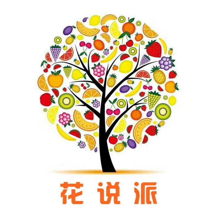 花说派童装严选