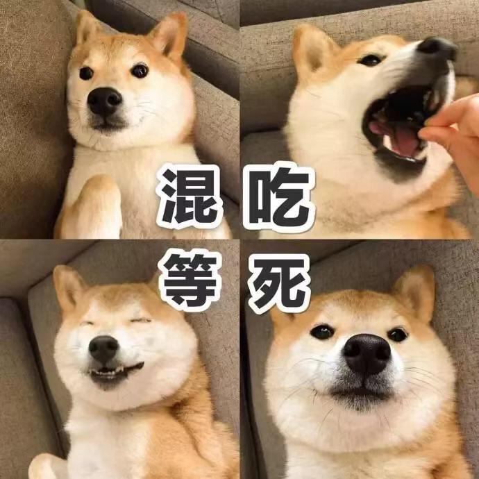 开拖拉机回家的小朋友