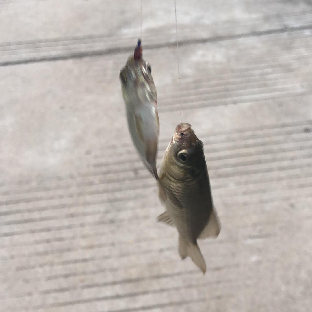 Sky纵横