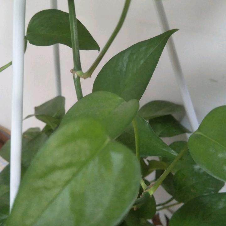 开心每一天，拒绝私信