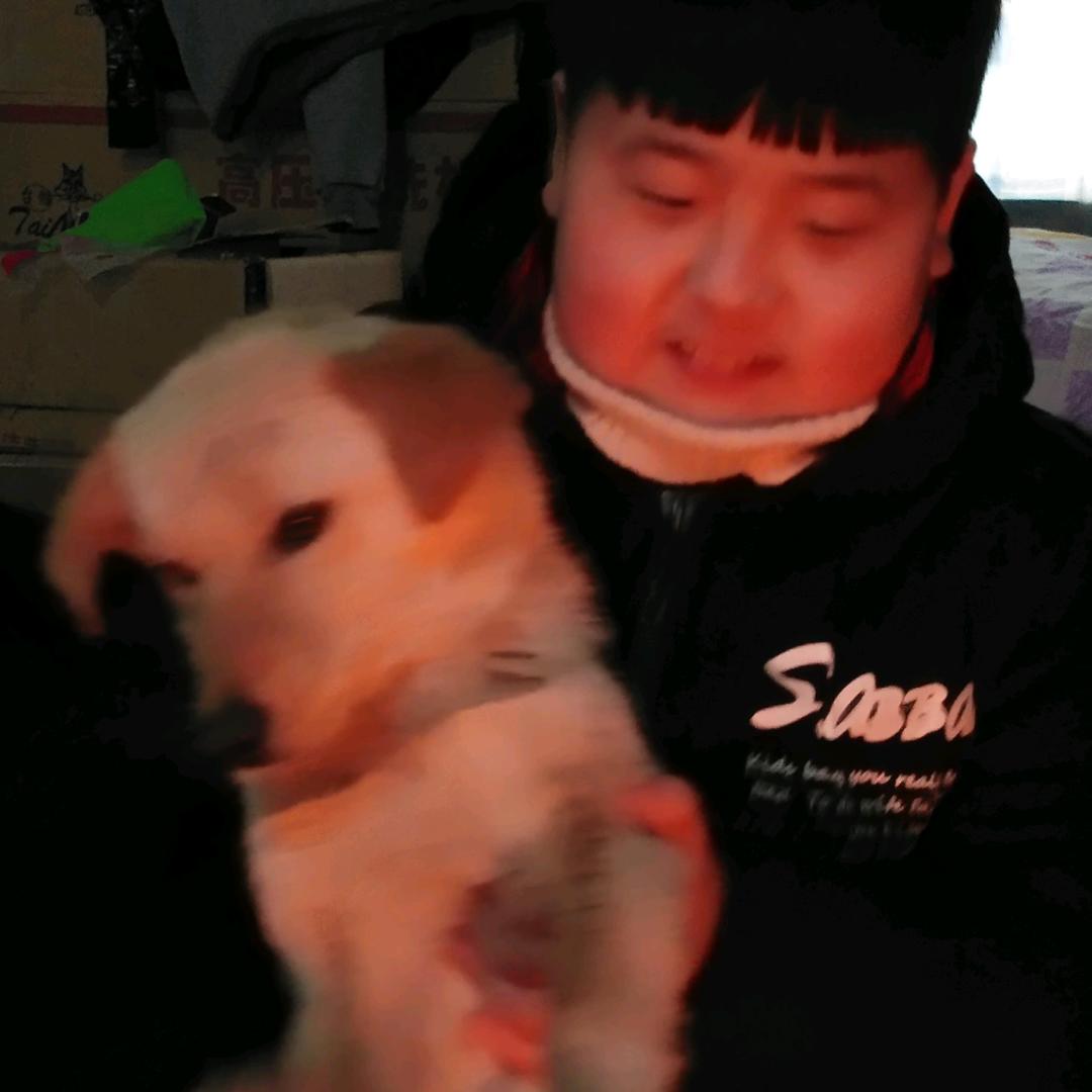 一朵冰梅伴海棠